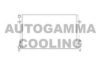 VW 1K0121251CN Radiator, engine cooling